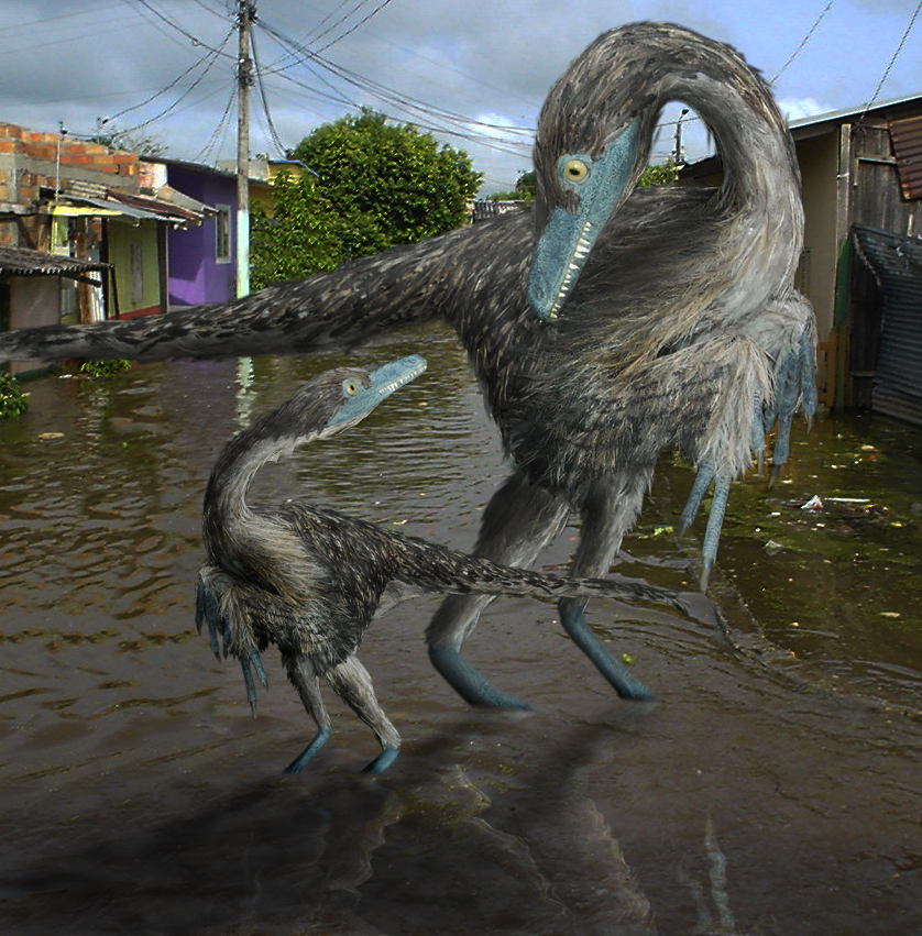 Photoshop Design by Zakfuego for DesignCrowd (Community Contests) | Design #8935845