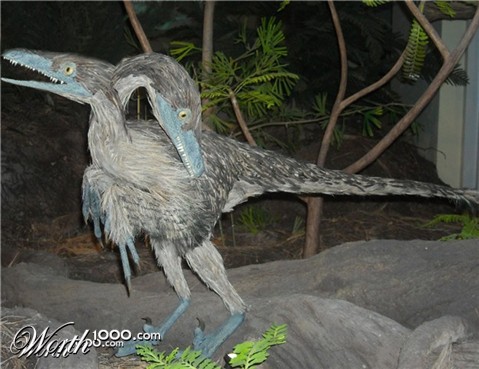 Photoshop Design by dogboy44