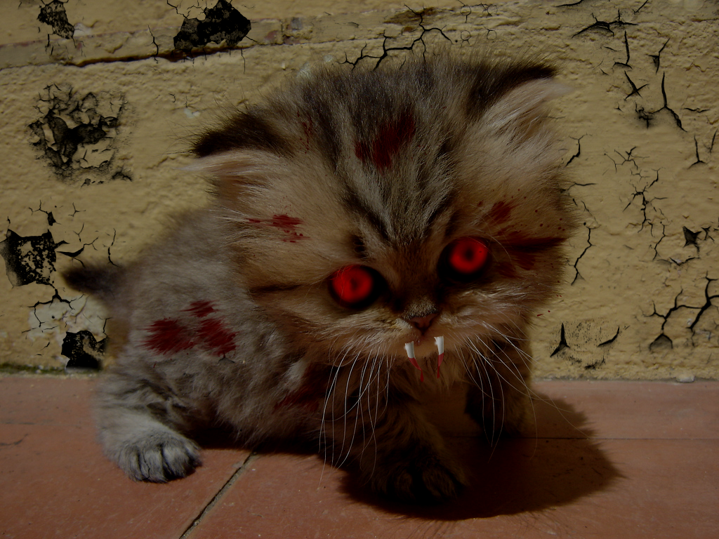 Photoshop Design by nate1928 for DesignCrowd (Community Contests) | Design #8937063