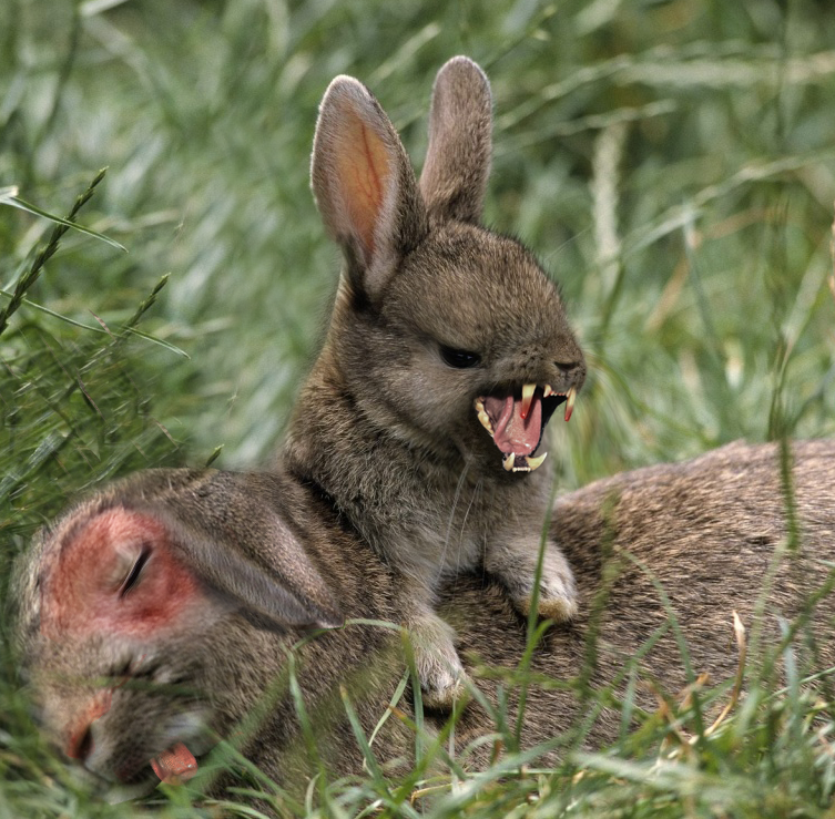 Photoshop Design by Zakfuego for DesignCrowd (Community Contests) | Design #8937067