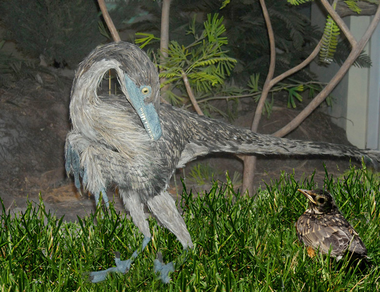 Photoshop Design by janefrog for DesignCrowd (Community Contests) | Design #8935853