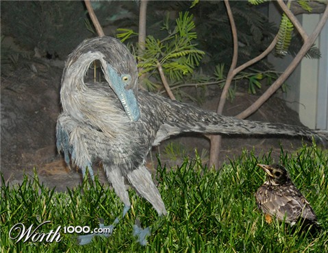 Photoshop Design by janefrog