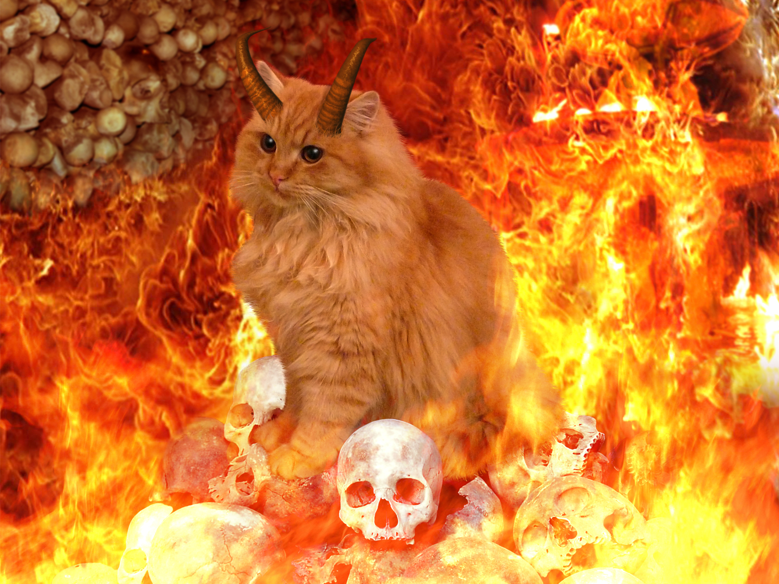 Photoshop Design by watschi for DesignCrowd (Community Contests) | Design #8937084