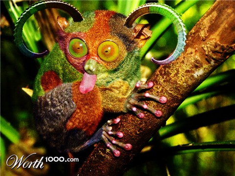 Photoshop Design by jake420