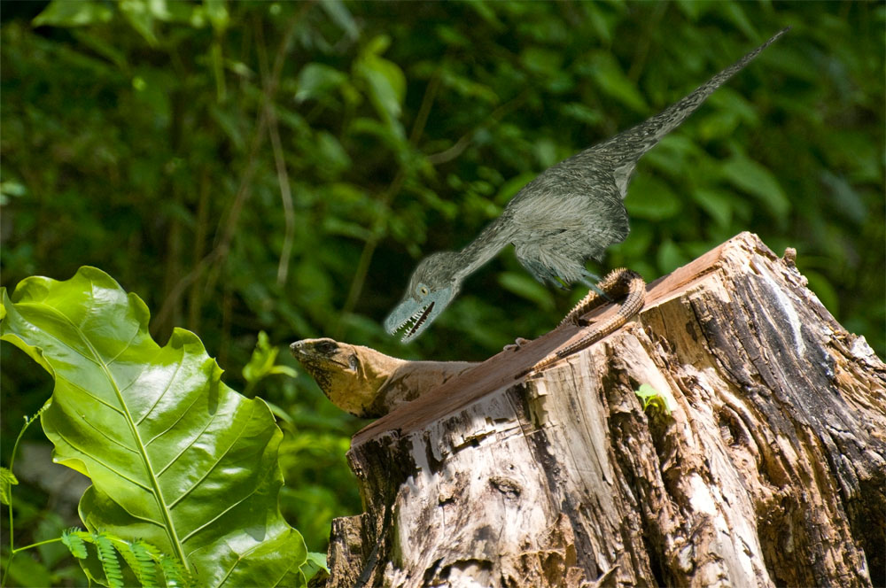 Photoshop Design by lardofdorkness for DesignCrowd (Community Contests) | Design #8935861