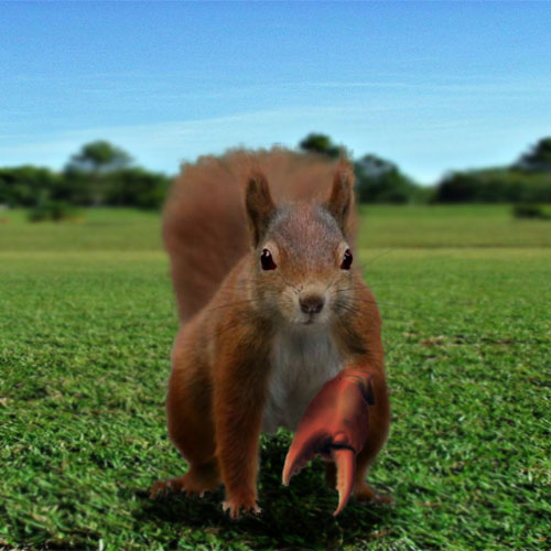 Photoshop-Design von organicblue für DesignCrowd (Community Contests) | Design #8937133