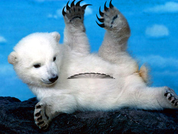 Photoshop Design by Takes2Hands2 for DesignCrowd (Community Contests) | Design #8937104