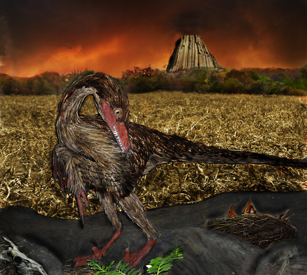 Photoshop Design by Dreamrain for DesignCrowd (Community Contests) | Design #8935889