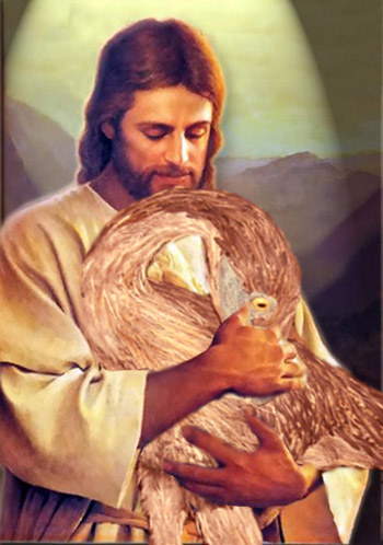 Photoshop Design by HopFrog for DesignCrowd (Community Contests) | Design #8935886