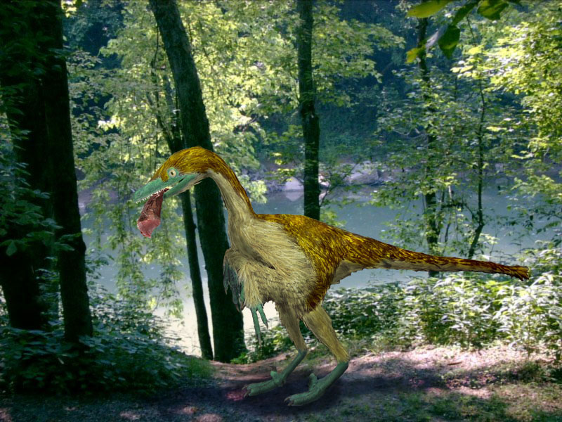 Photoshop Design by AdnanSAMA for DesignCrowd (Community Contests) | Design #8935894