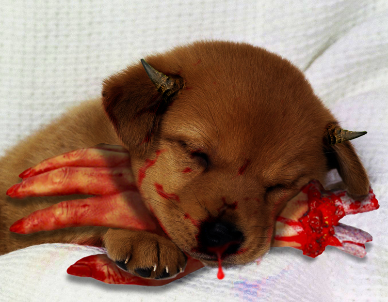 Photoshop Design by leskfish for DesignCrowd (Community Contests) | Design #8937152