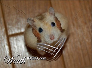 Photoshop Design by Bluepineapple