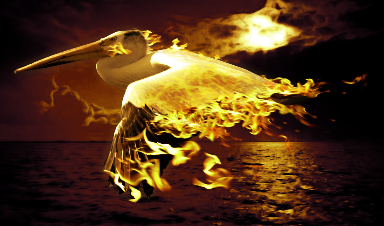 Diseño de Photoshop por watschi para DesignCrowd (Community Contests) | Diseño #8936678
