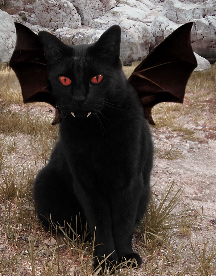 Photoshop Design by Dreamrain for DesignCrowd (Community Contests) | Design #8937226