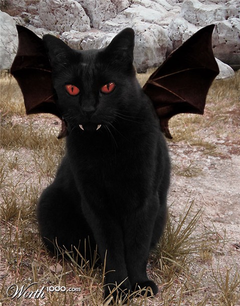 Photoshop Design by Dreamrain