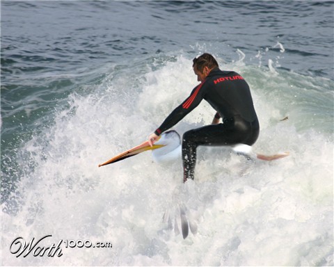 Photoshop Design by Kitiekat4U