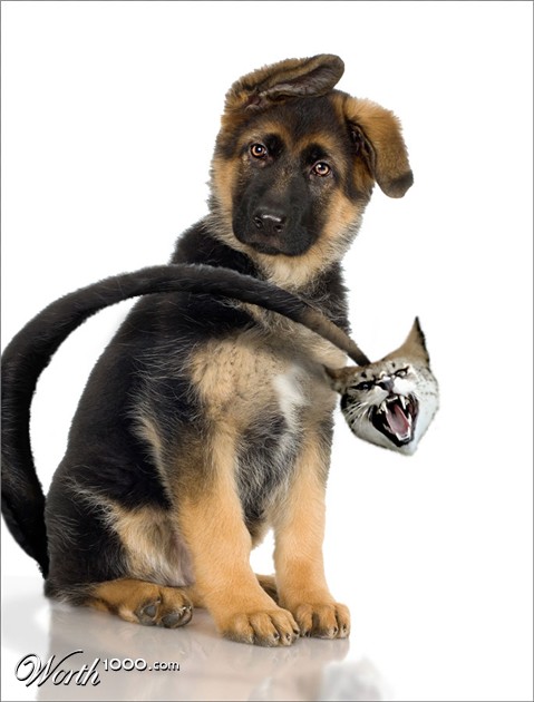 Photoshop Design by lroger01