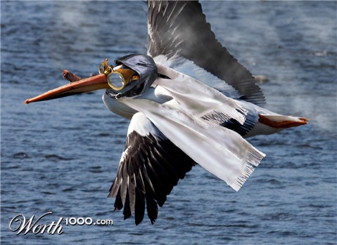 Photoshop Design by Jamison1114