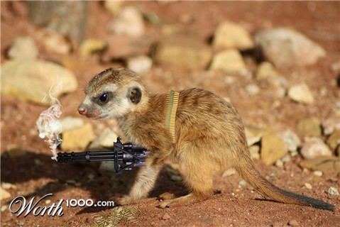 Photoshop Design by GunzCoty