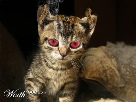 Photoshop Design by tonyman1106