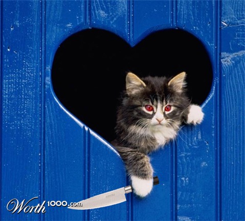 Photoshop Design by Mordey