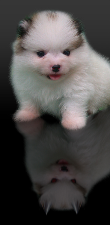 Diseño de Photoshop por pbear1 para DesignCrowd (Community Contests) | Diseño #8937293