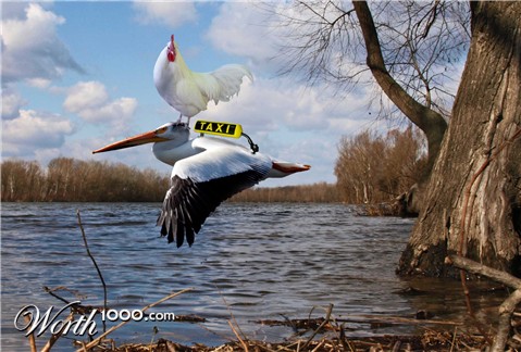 Photoshop Design by bibile