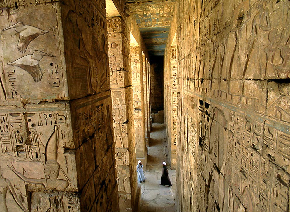 Design Photoshop par bellabambina248 pour DesignCrowd (Community Contests) | Design #8936761