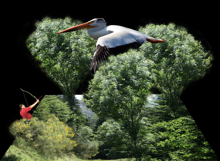 Photoshop Design by Zakfuego for DesignCrowd (Community Contests) | Design #8936732