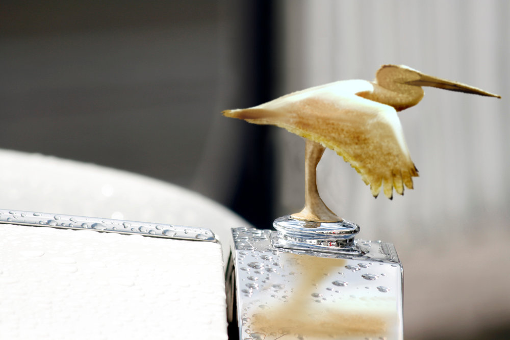 Photoshop Design by serresnoe for DesignCrowd (Community Contests) | Design #8936772