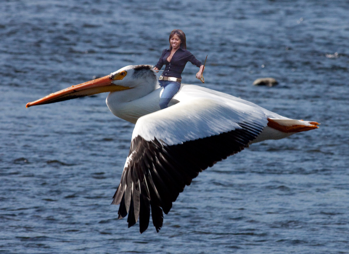 Design Photoshop par 2GR84YOU pour DesignCrowd (Community Contests) | Design #8936739