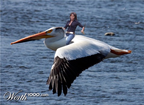 Photoshop Design by 2GR84YOU