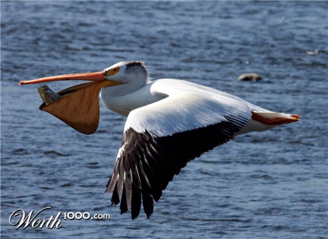 Photoshop Design by lynvdg