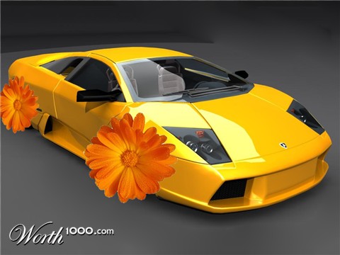 Photoshop Design by clinched