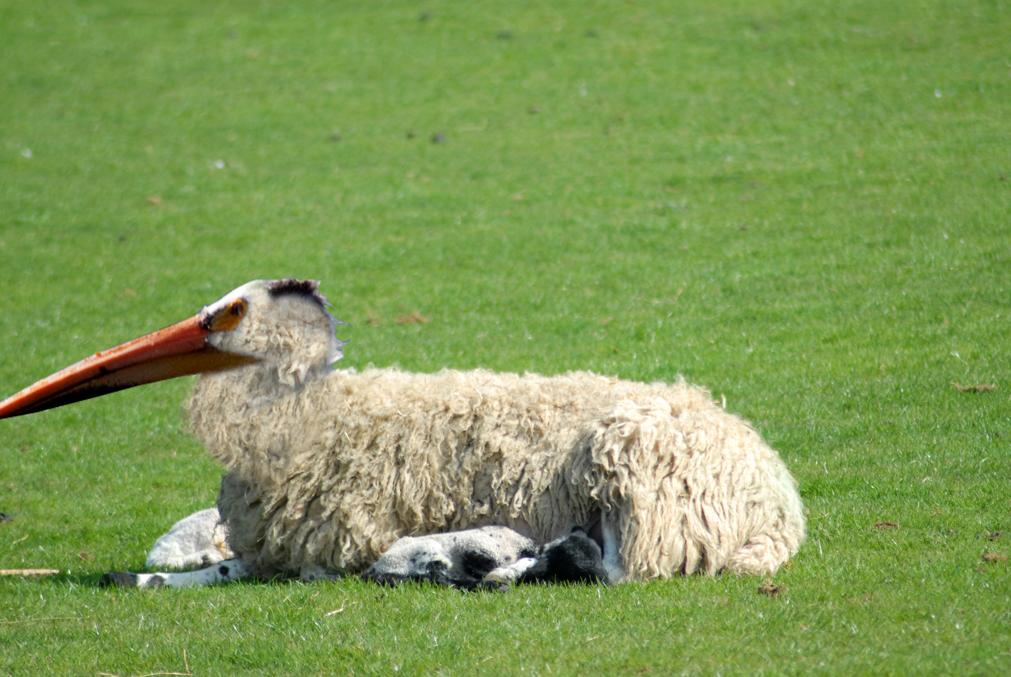 Diseño de Photoshop por pricth para DesignCrowd (Community Contests) | Diseño #8936736