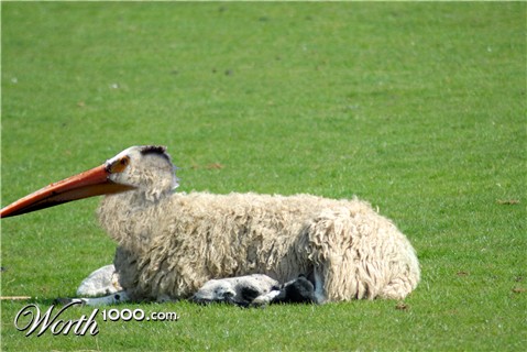 Photoshop Design by pricth