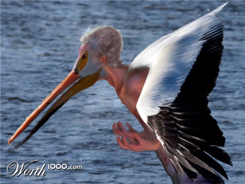 Photoshop Design by Rannan