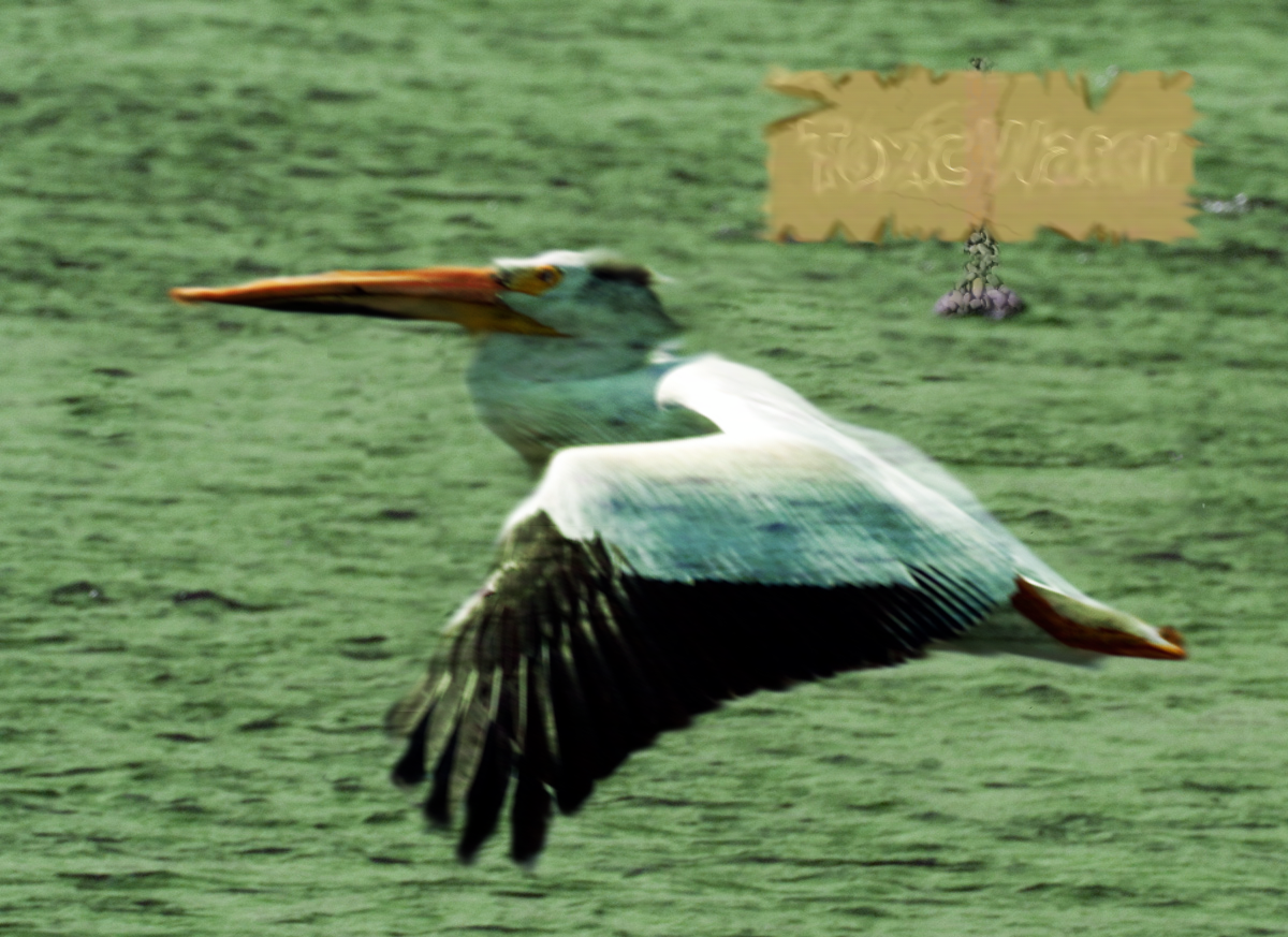 Photoshop Design by DeathNoter for DesignCrowd (Community Contests) | Design #8936860