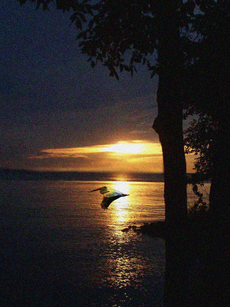 Photoshop Design by WildChildBaby for DesignCrowd (Community Contests) | Design #8936796