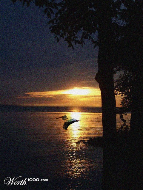 Photoshop Design by WildChildBaby