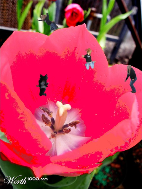 Photoshop Design by doodman147