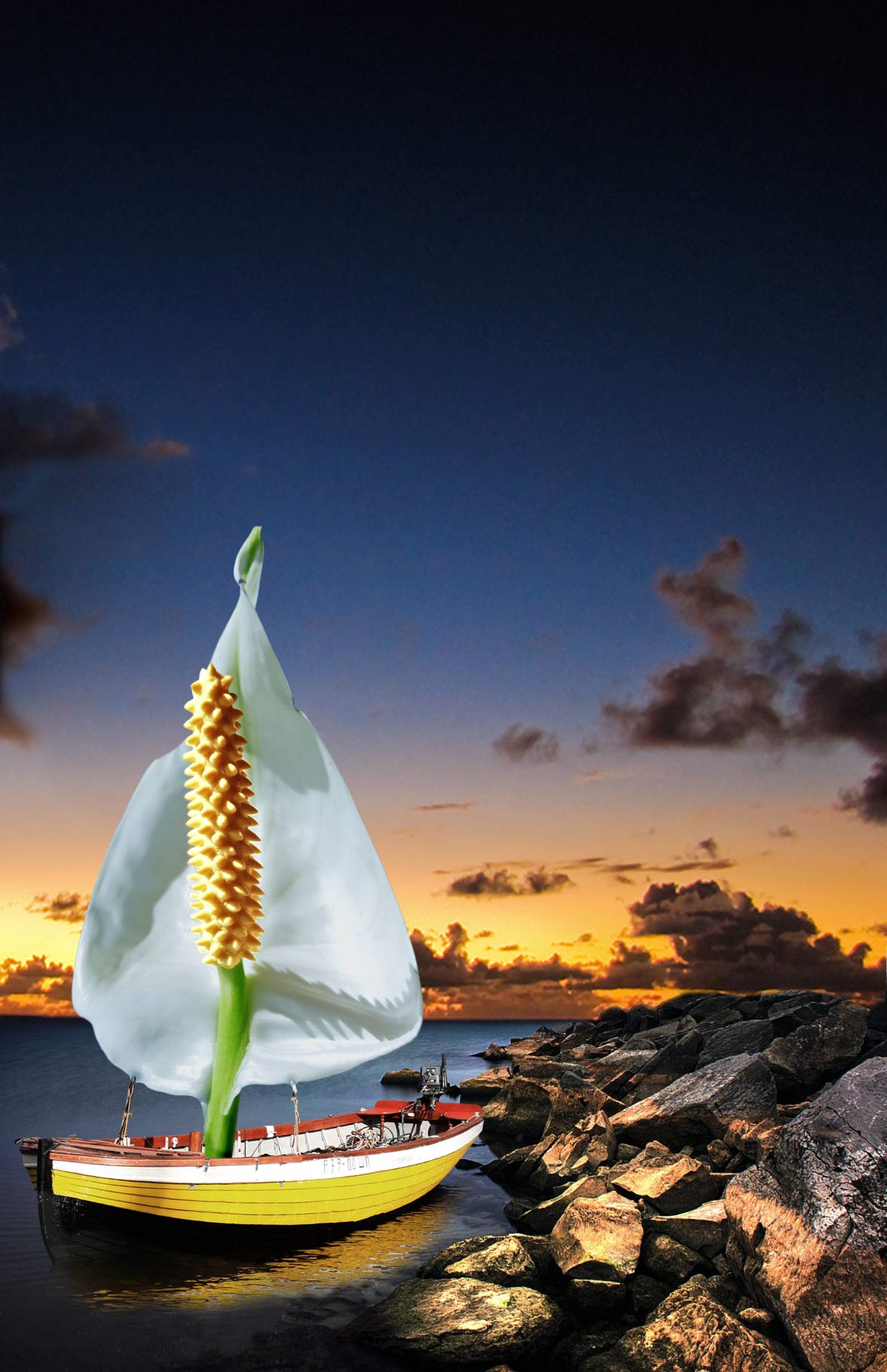 Photoshop Design by ristarr11 for DesignCrowd (Community Contests) | Design #8935847