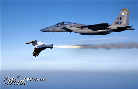 Photoshop Design by Robbyfromitaly