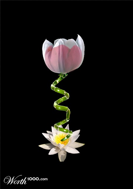 Photoshop Design by Mordey