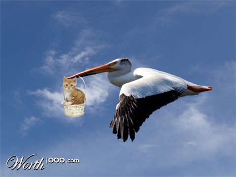 Photoshop Design by Mordey