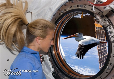 Photoshop Design by snakebit