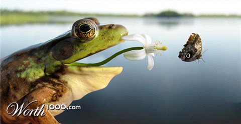 Photoshop Design by YazzyJ