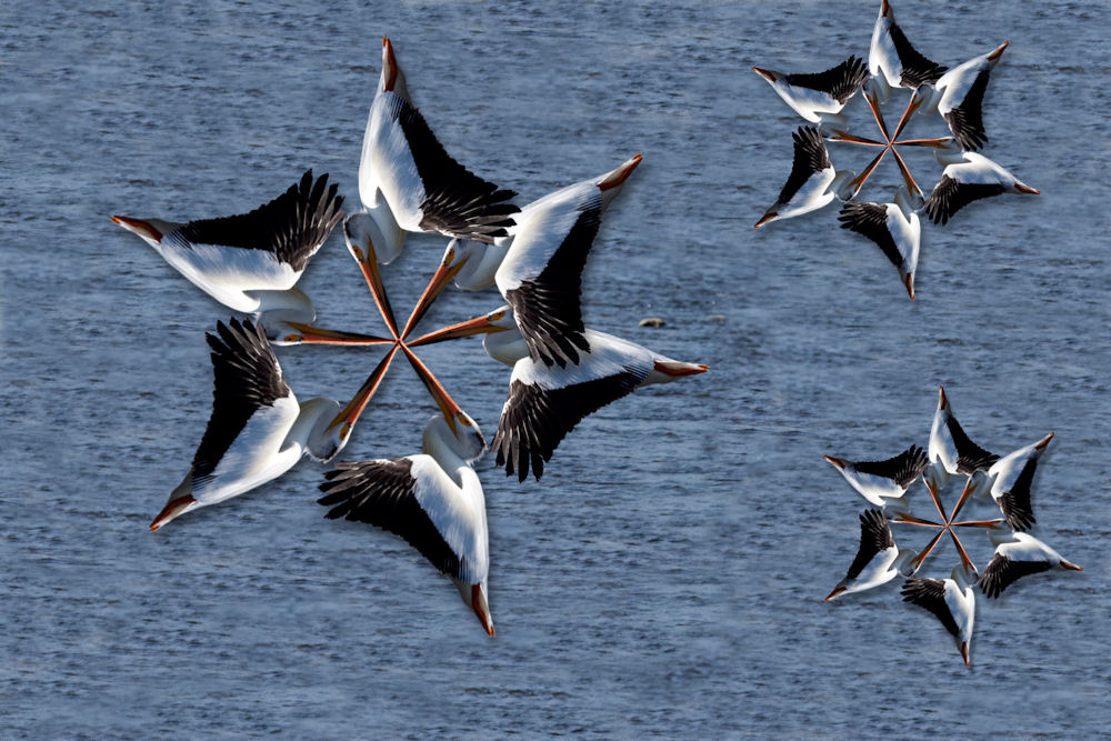 Design Photoshop par BobT55 pour DesignCrowd (Community Contests) | Design #8936813