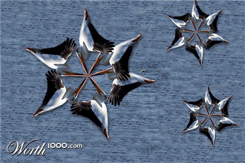 Photoshop Design by BobT55