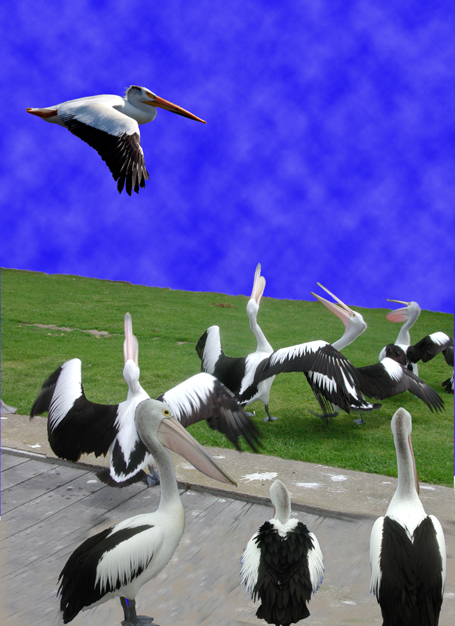 Design Photoshop par cassanhorse pour DesignCrowd (Community Contests) | Design #8936820